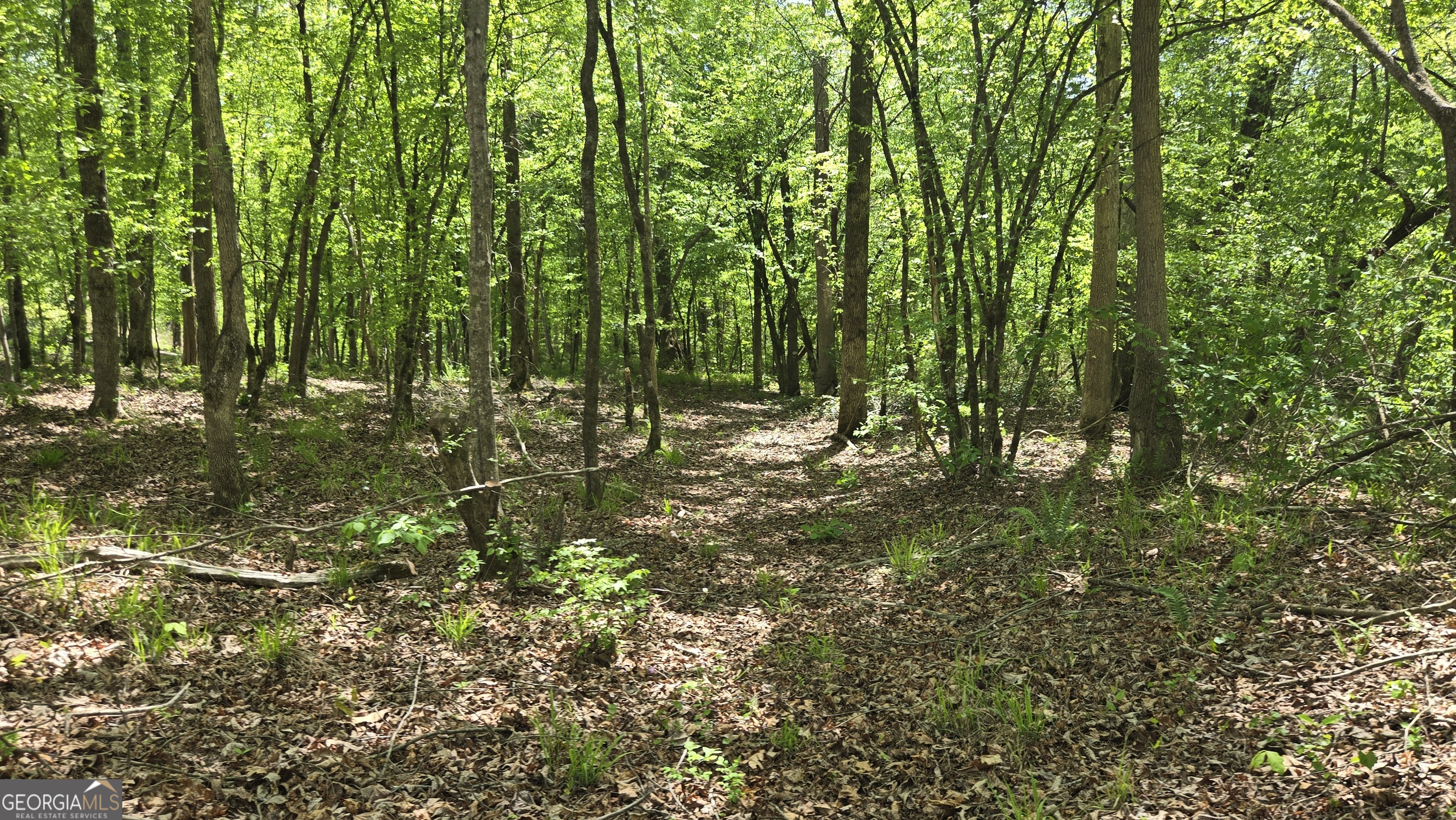 0 Sand Hill Road Bowman, GA 30624 - Photo 29 of 69 a view of outdoor space with lots of green trees