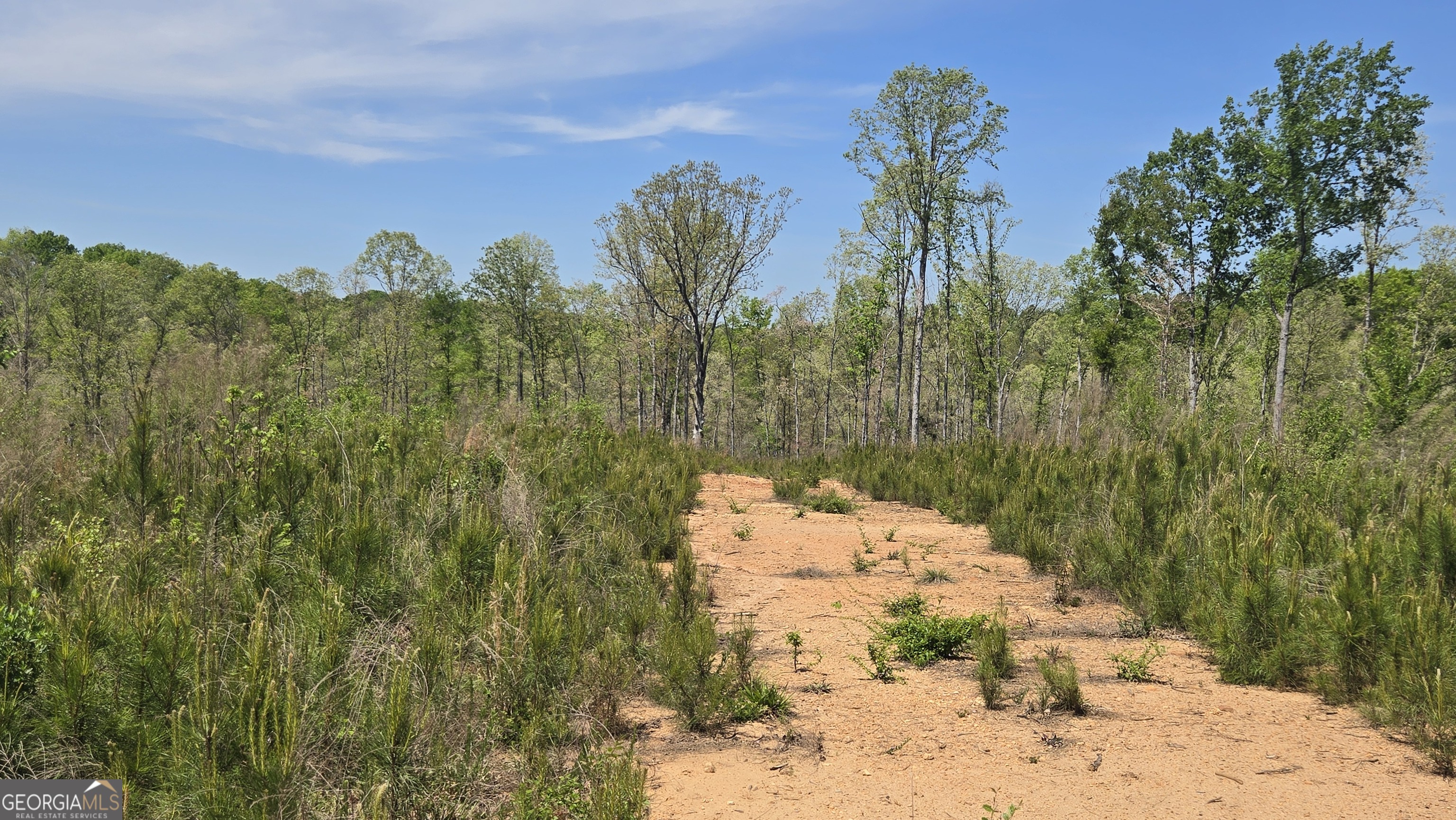 0 Sand Hill Road Bowman, GA 30624 - Photo 33 of 69 a view of a yard along with trees