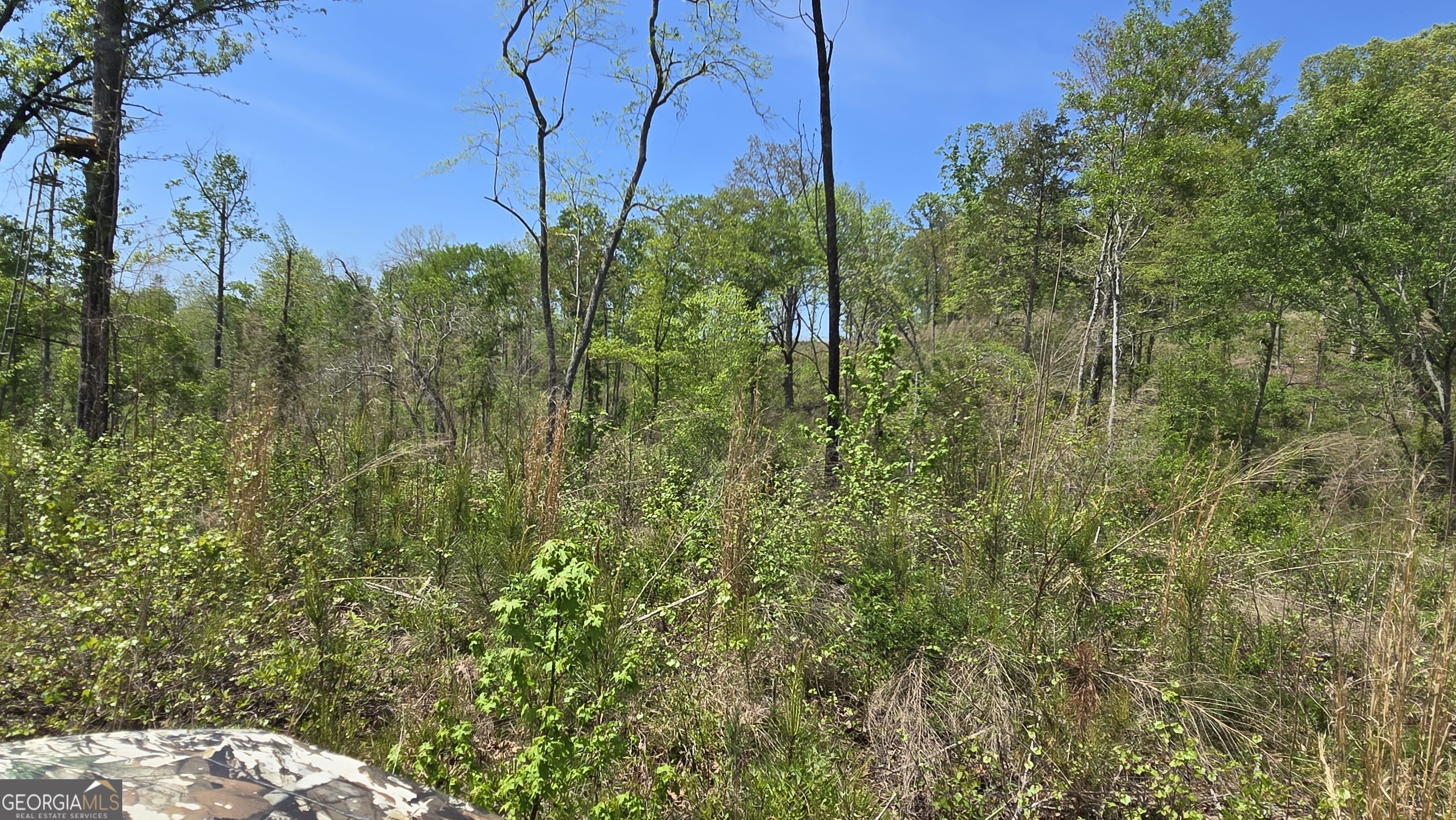 0 Sand Hill Road Bowman, GA 30624 - Photo 37 of 69 a view of a yard