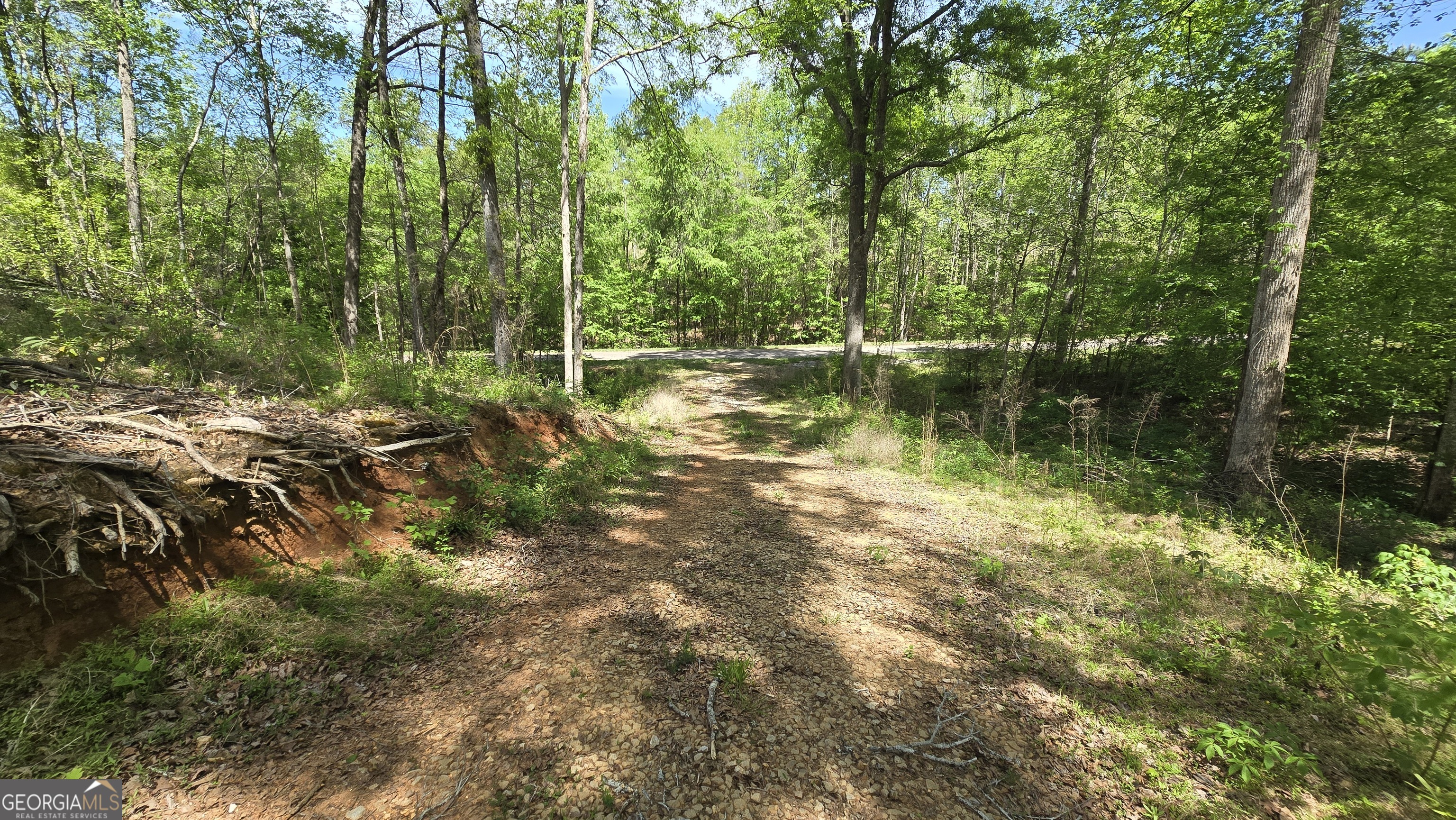 0 Sand Hill Road Bowman, GA 30624 - Photo 45 of 69 a view of lake