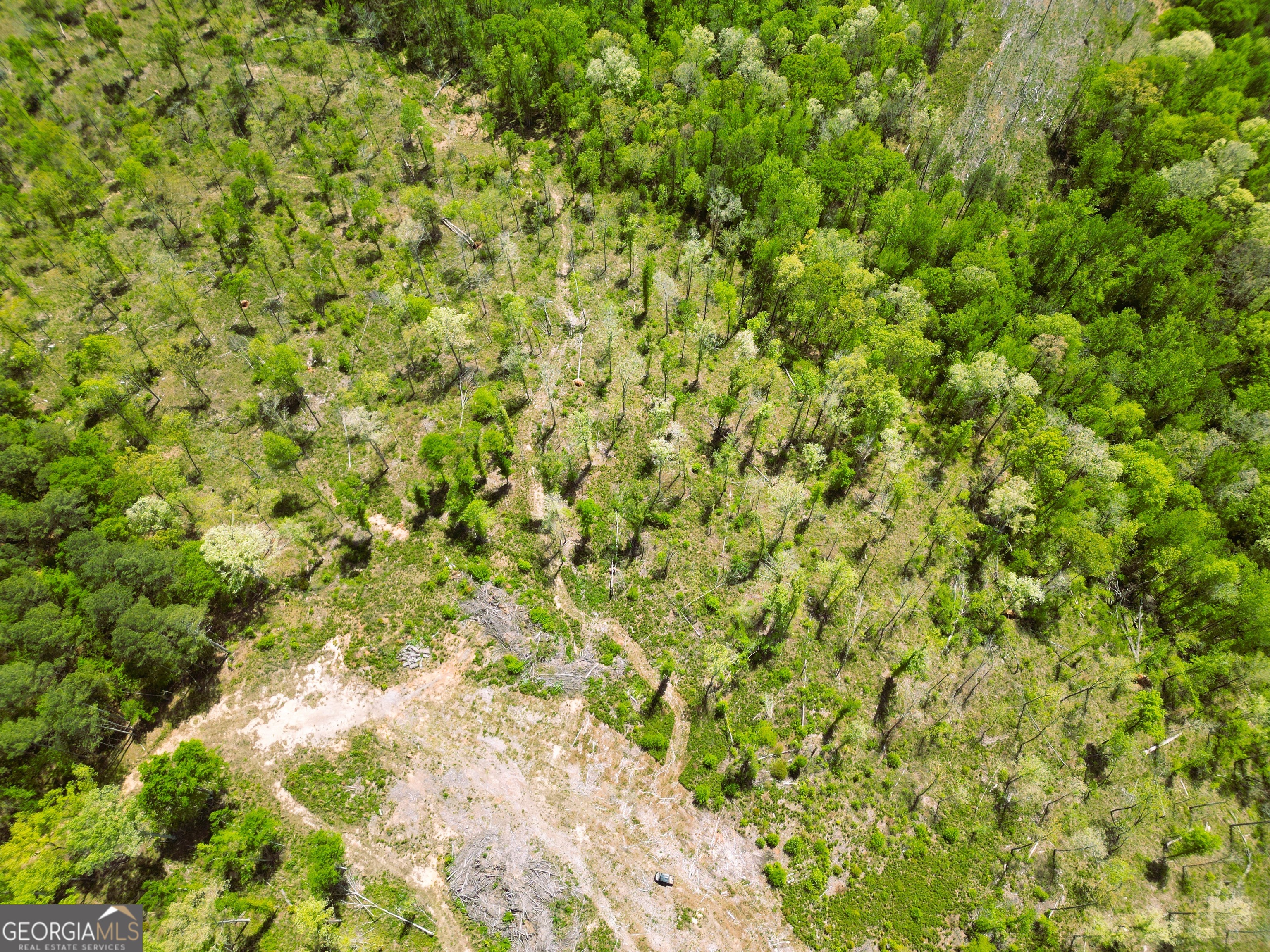 0 Sand Hill Road Bowman, GA 30624 - Photo 63 of 69 a view of a green field