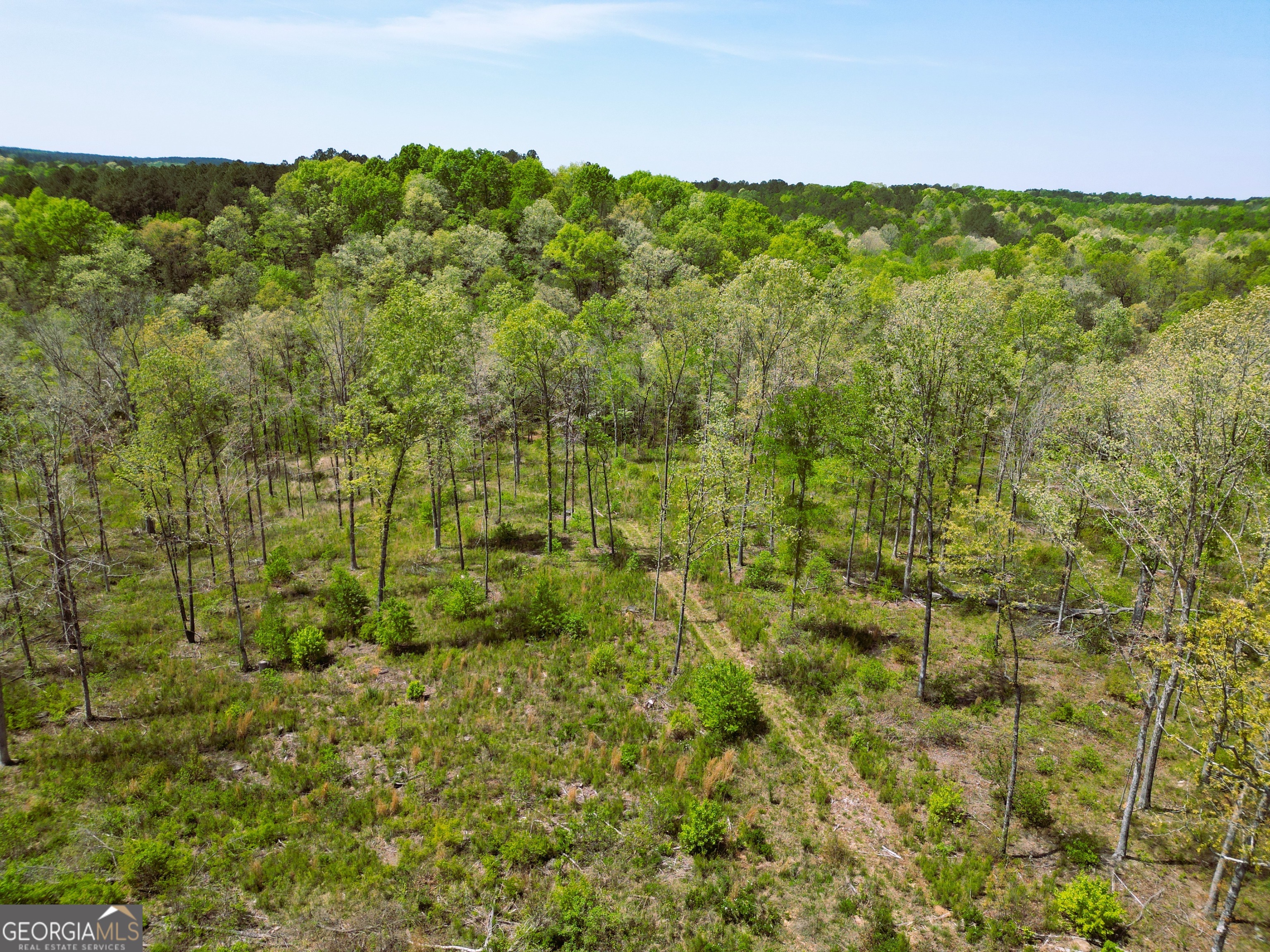 0 Sand Hill Road Bowman, GA 30624 - Photo 68 of 69 a view of a green field with lots of bushes