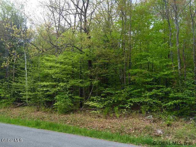 404 Toad Point Road Petersburgh, NY 12138 - Photo 1 of 19 404 Toad Point Rd Frontage