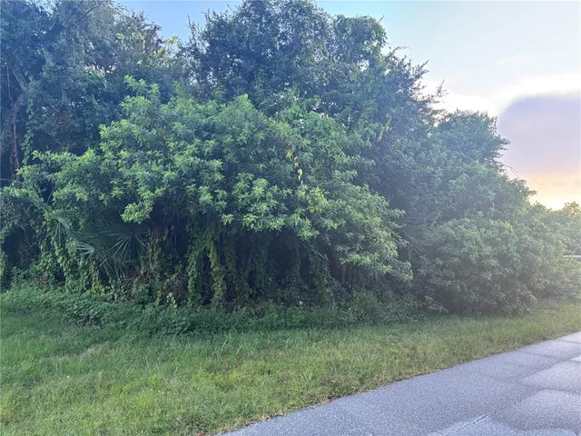 a view of a yard with a tree