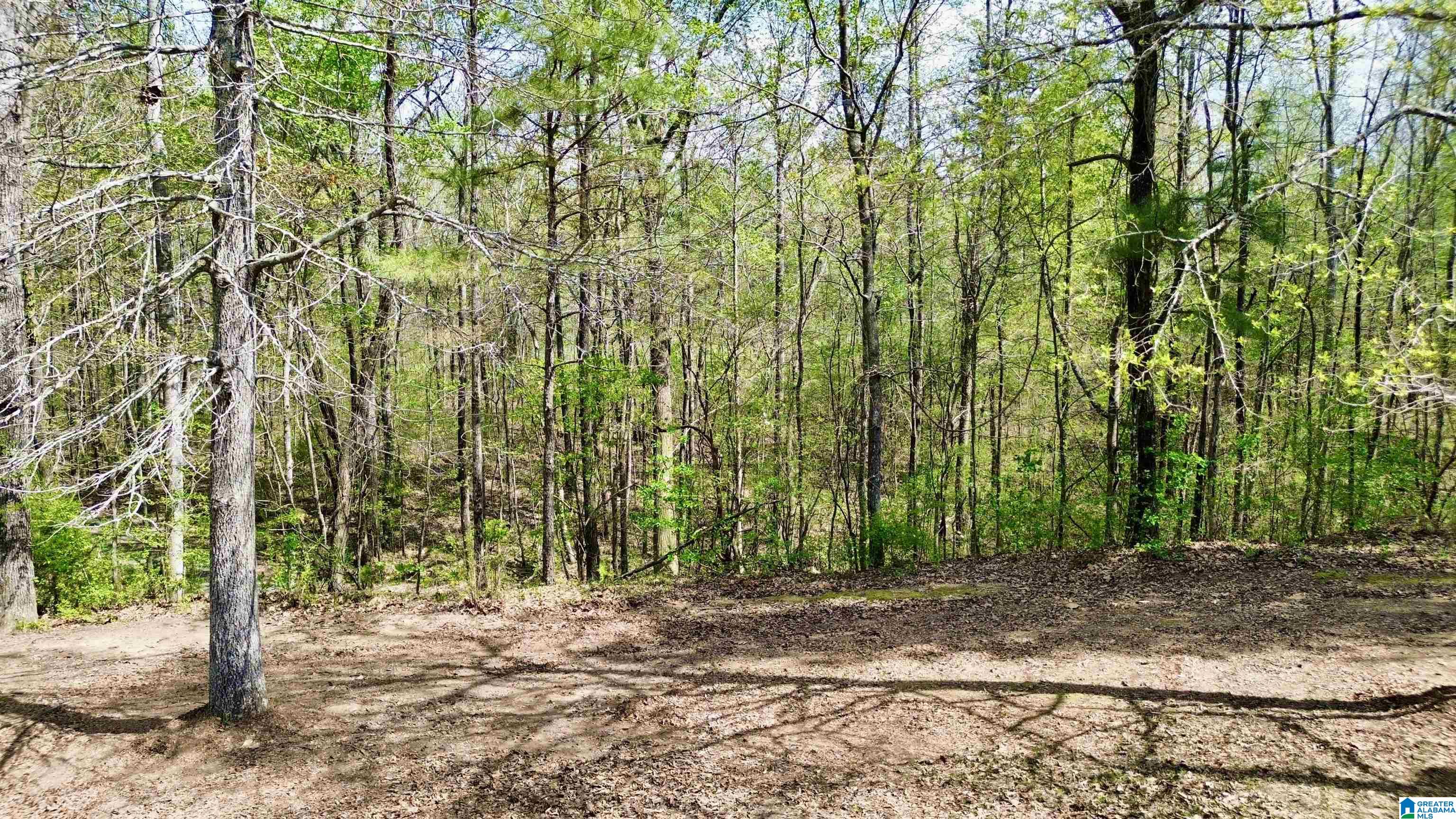 1740 Mt View Road Hayden, AL 35079 - Photo 15 of 71