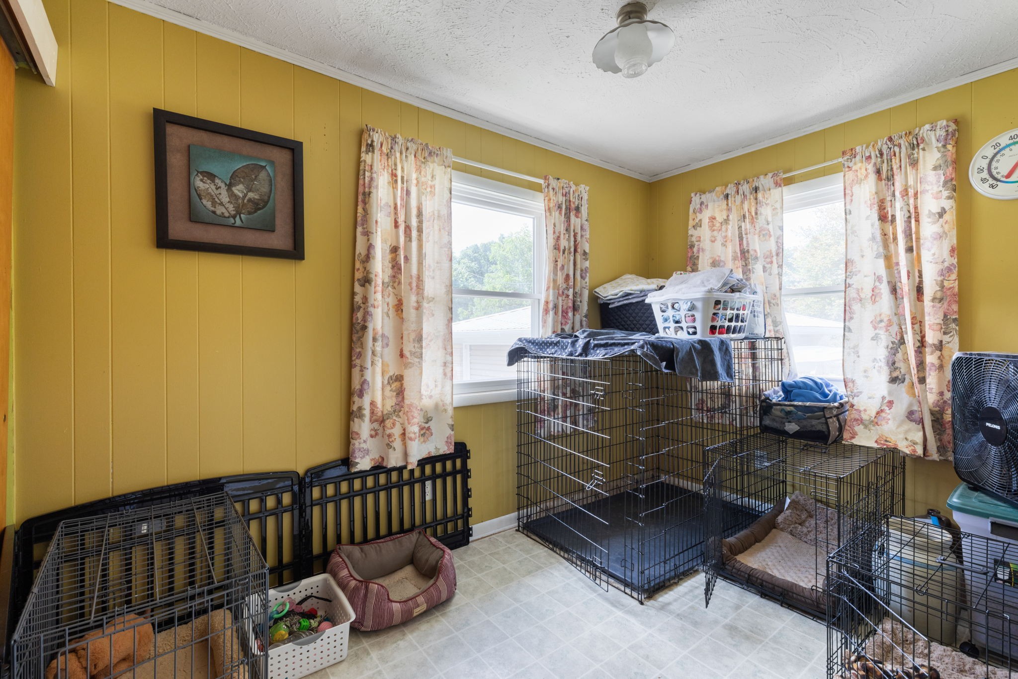 760 Colony Road Coalmont, TN 37313 - Photo 15 of 42 Gallery Image 15