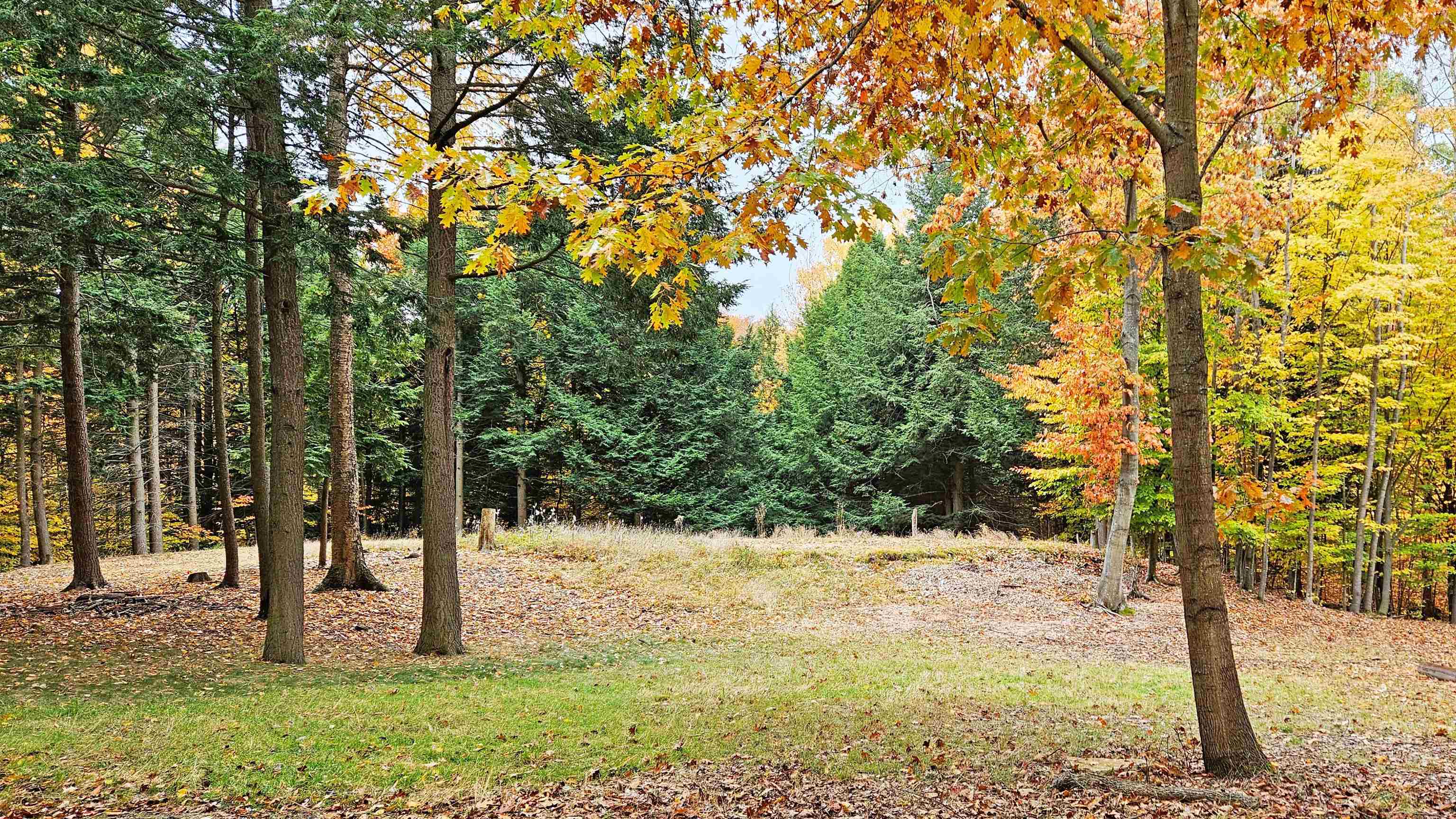 82-107 Moon Ridge Road, Unit LOT: 82,107 Onekama, MI 49675 - Photo 17 of 48