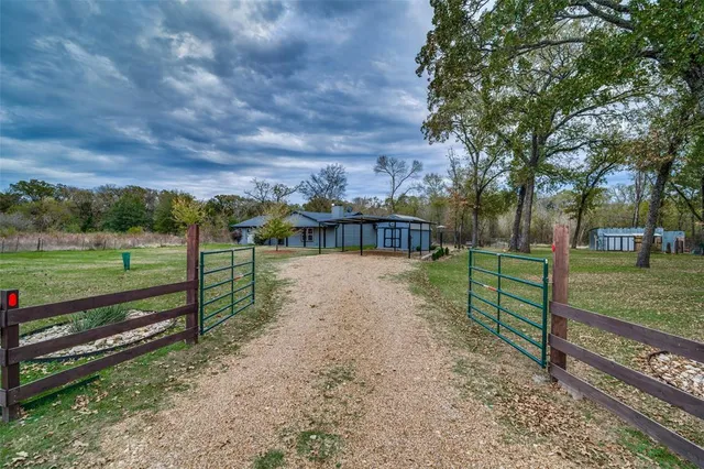 a view of a park with large trees