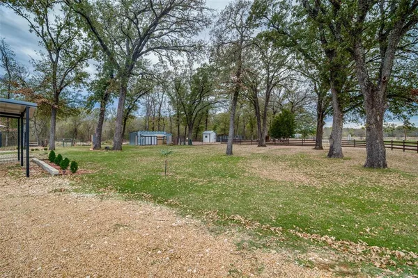 a view of a tree in a park