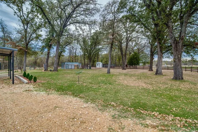 a view of a tree in a park