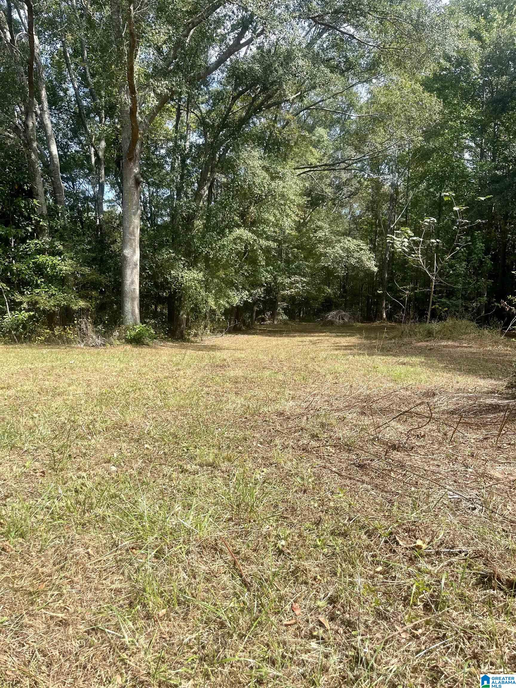 0 Main Street, Unit 2 99 ACRES Roanoke, AL 36274 - Photo 1 of 2