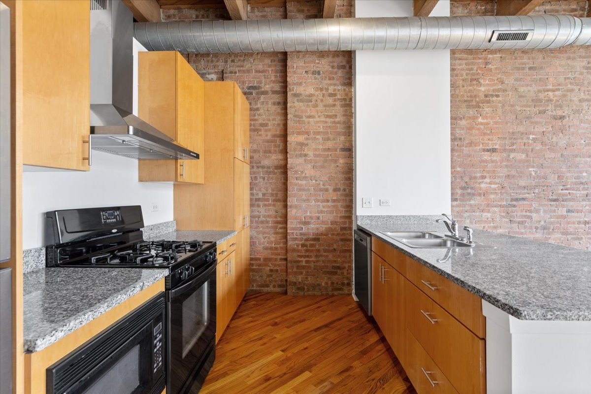 1040 West Adams Street, Unit 110 Chicago, IL 60607 - Photo 10 of 28 Gallery Image 10