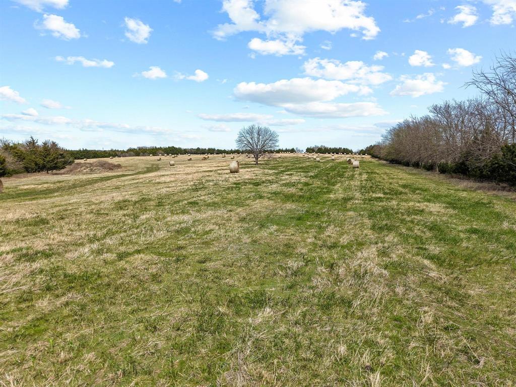 Tbd Crews Road Bells, TX 75414 - Photo 37 of 40 Gallery Image 37