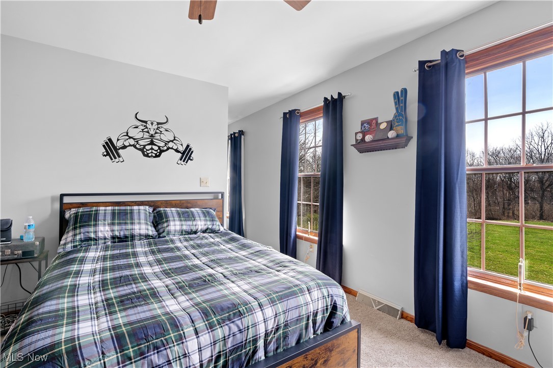 7285 South Raccoon Road Canfield, OH 44406 - Photo 27 of 46 Bedroom with light colored carpet, baseboards, and ceiling fan