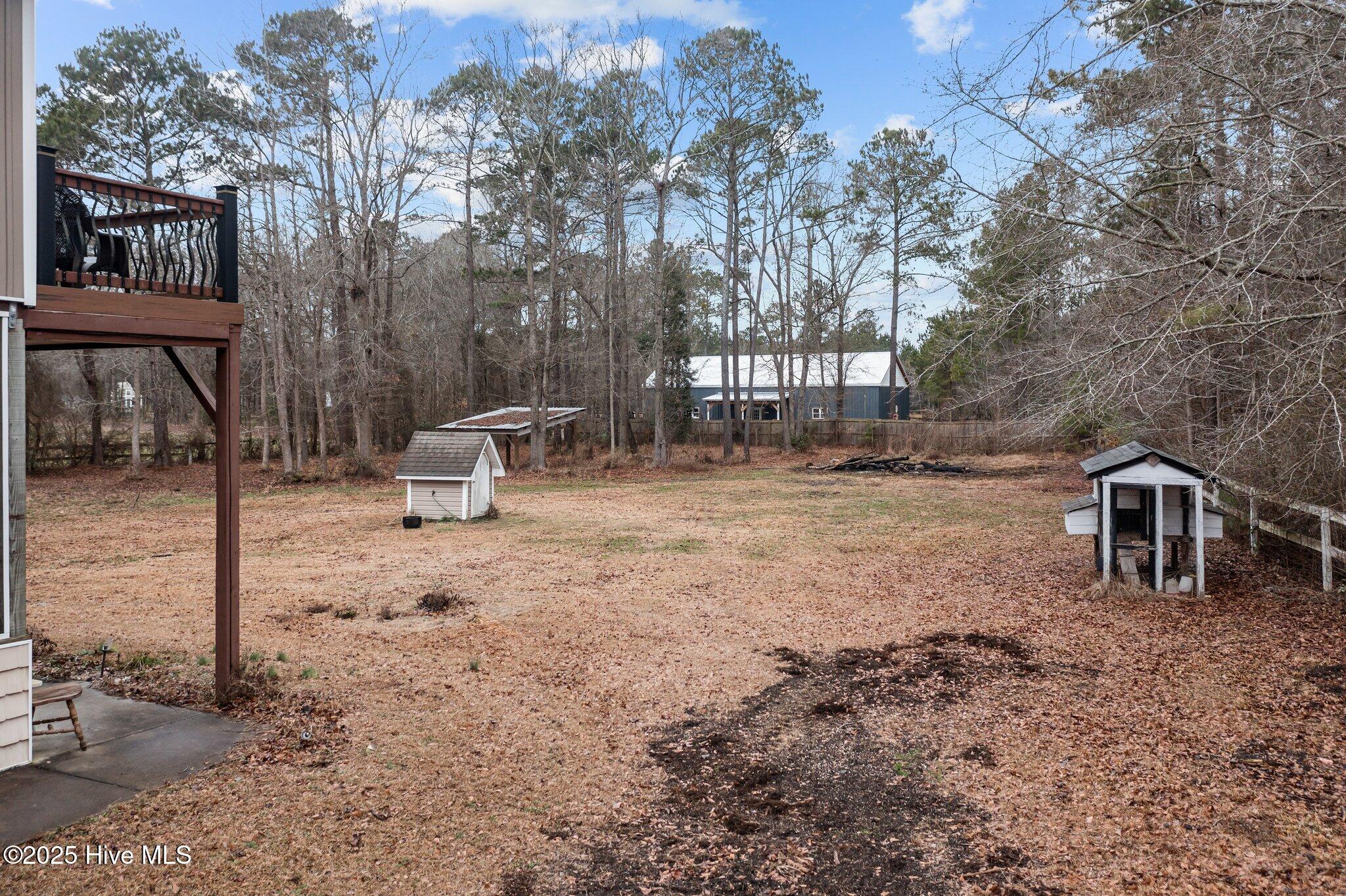 470 Haw Branch Road Richlands, NC 28574 - Photo 43 of 55 Back yard