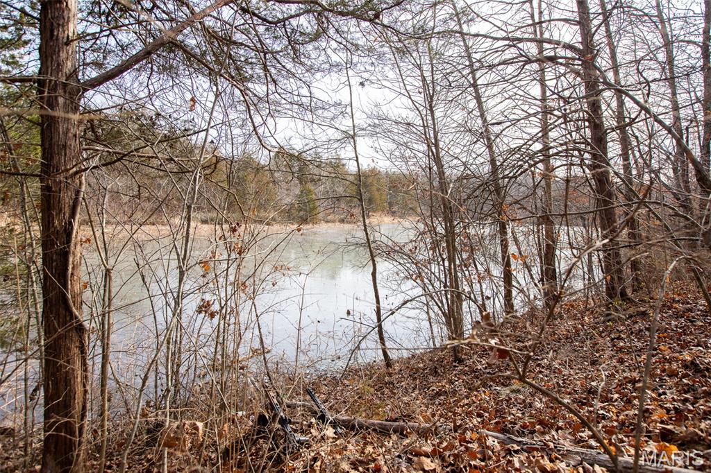 Lot 6-7 Wheel Estates Villa Ridge, MO 63089 - Photo 7 of 11