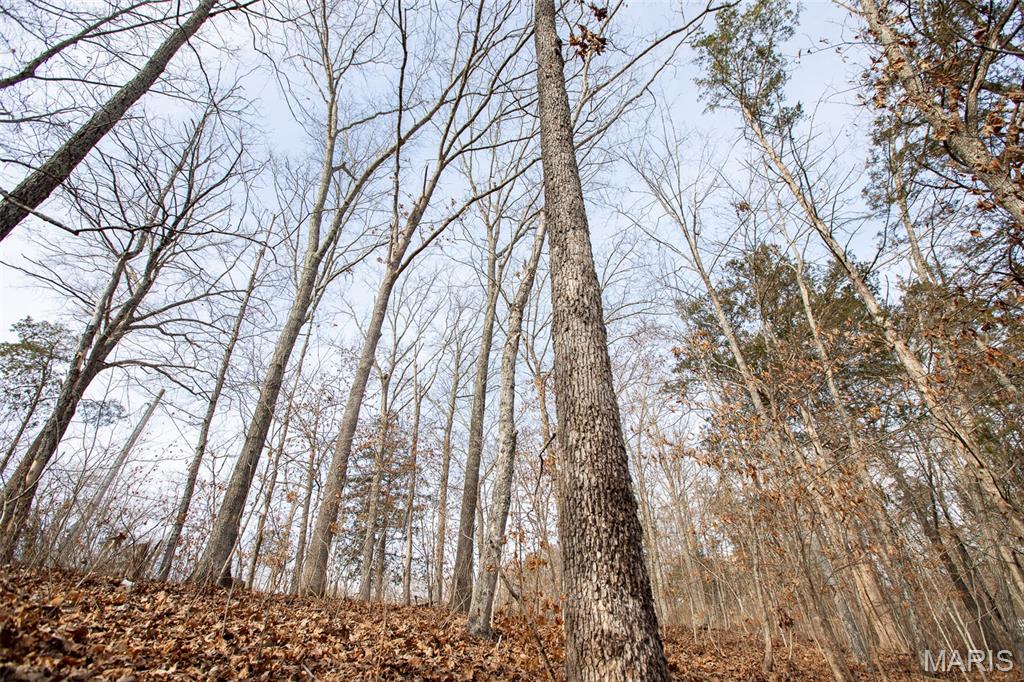 Lot 6-7 Wheel Estates Villa Ridge, MO 63089 - Photo 8 of 11