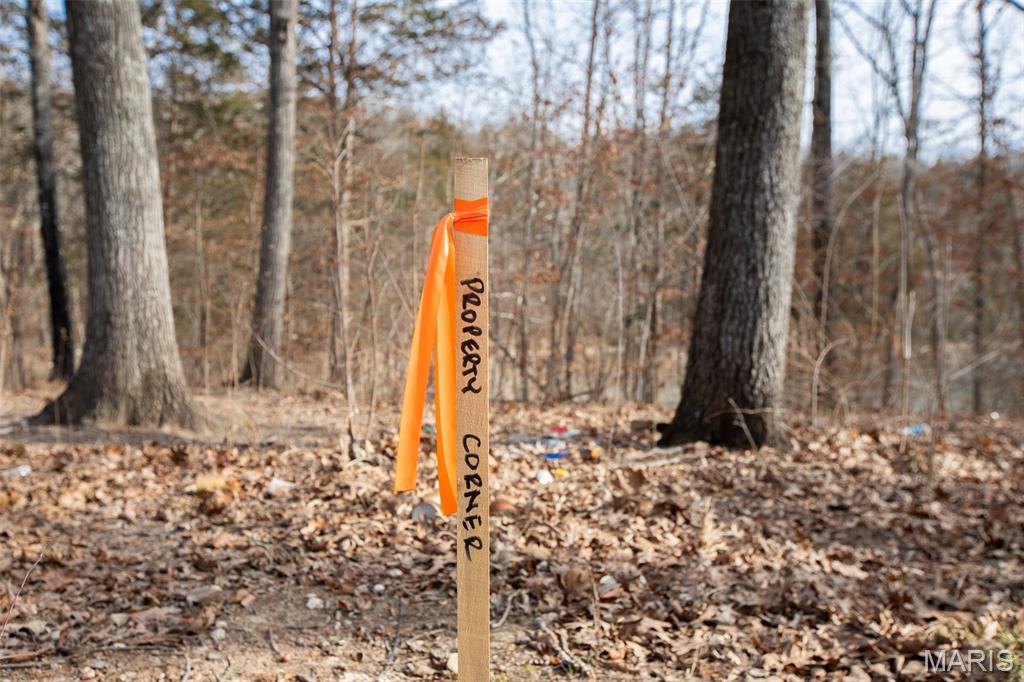 Lot 6-7 Wheel Estates Villa Ridge, MO 63089 - Photo 9 of 11