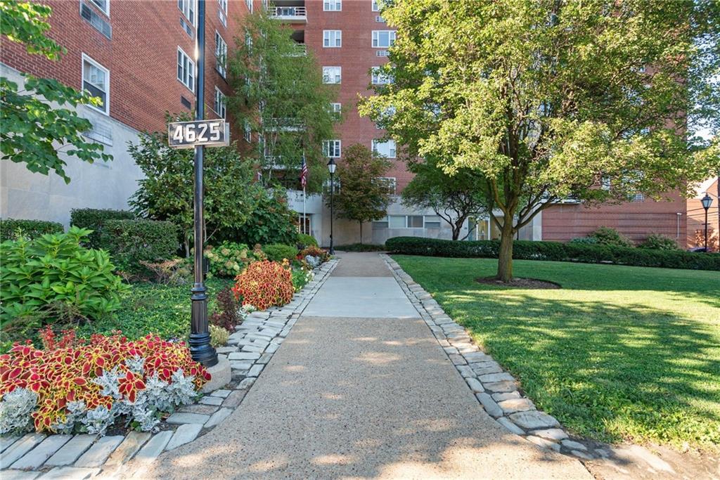 a view of a garden with flowers and trees