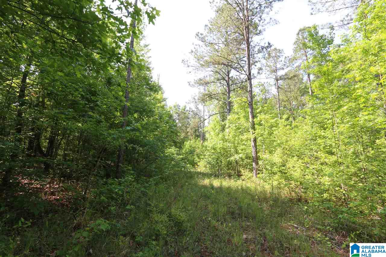 5255 Kelly Creek Road, Unit 37 / AC Odenville, AL 35120 - Photo 17 of 17