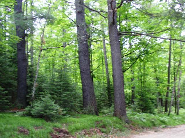 On Maple Lane Eagle River, WI 54521 - Photo 14 of 20 Gallery Image 14
