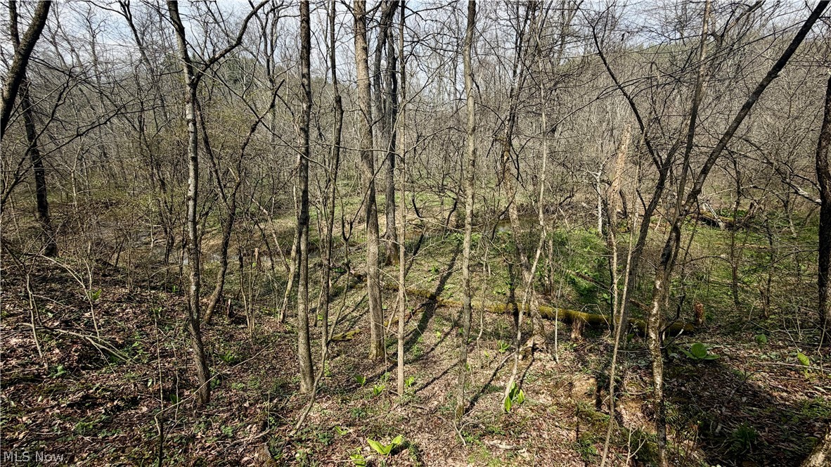 9100 Post Road Jewett, OH 43986 - Photo 31 of 46