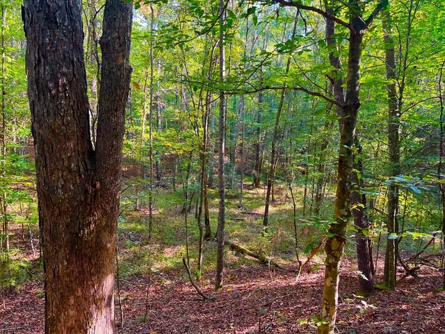 $147,391 | 3050 James Drive Northwest, Wesson, MS 39191