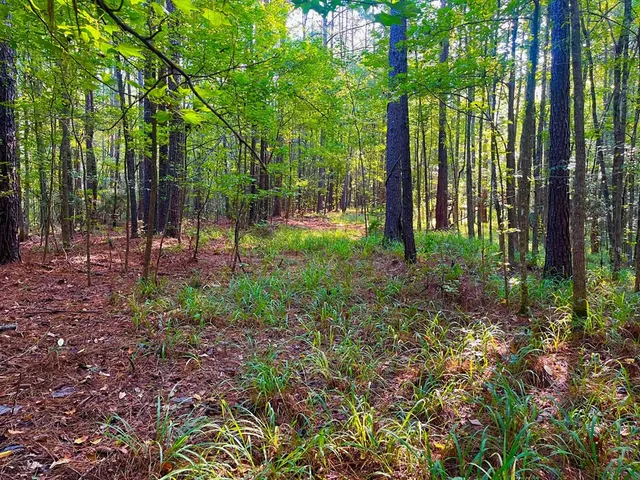 $147,391 | 3050 James Drive Northwest, Wesson, MS 39191