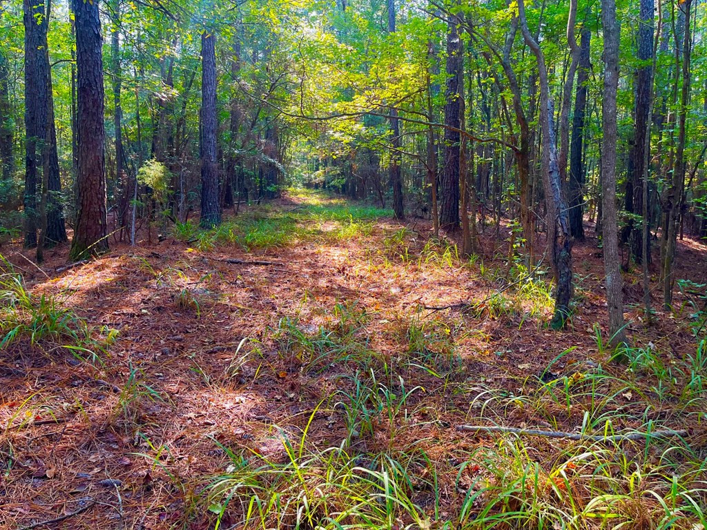 3050 James Drive Northwest Wesson, MS 39191 - Photo 6 of 13 Photo 6