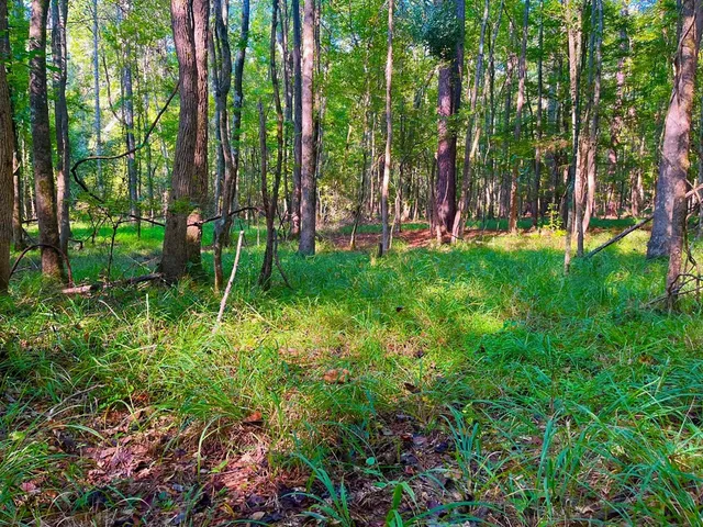 $147,391 | 3050 James Drive Northwest, Wesson, MS 39191