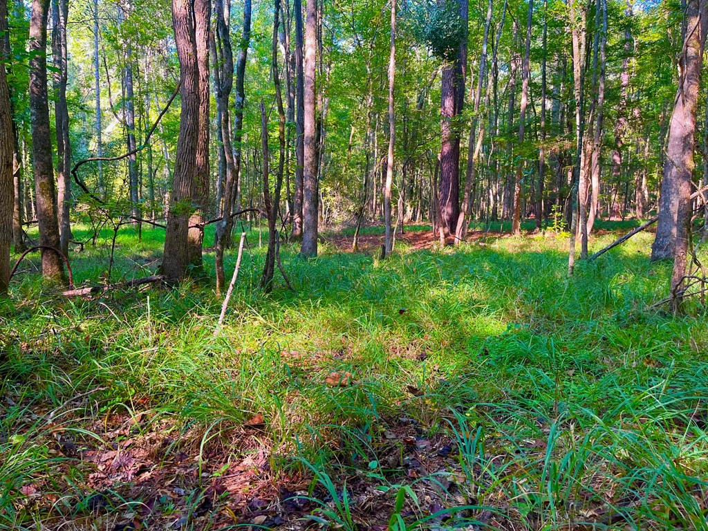 3050 James Drive Northwest Wesson, MS 39191 - Photo 10 of 13 Photo 11