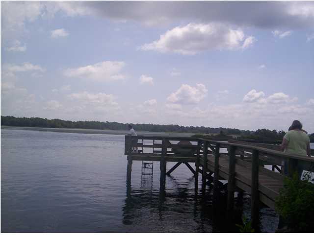 1802 State Rd S-8-560 Moncks Corner, SC 29461 - Photo 23 of 23 Additional Photo