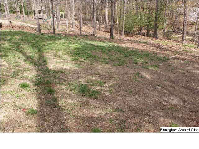 3617 Cheshire Road Birmingham, AL 35242 - Photo 28 of 31