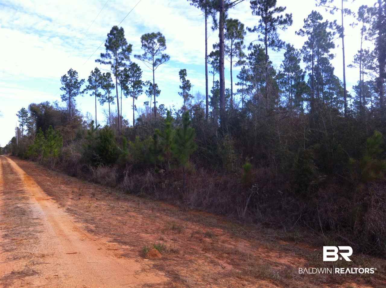 3 Red Cloud Road Baker, FL 32531 - Photo 13 of 14