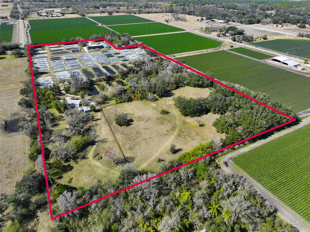 20112 Hobbs Road Wimauma, FL 33598 - Photo 46 of 94