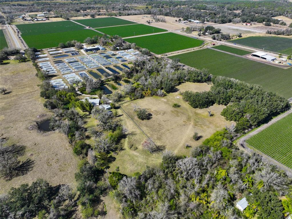 20112 Hobbs Road Wimauma, FL 33598 - Photo 48 of 94