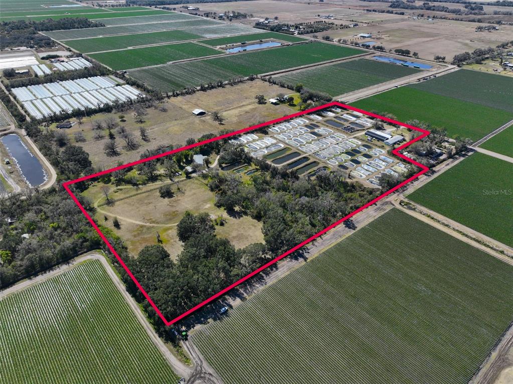 20112 Hobbs Road Wimauma, FL 33598 - Photo 52 of 94