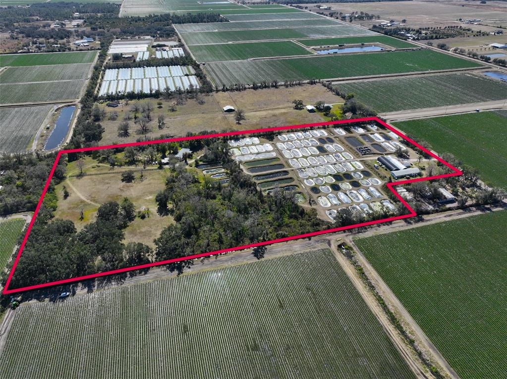 20112 Hobbs Road Wimauma, FL 33598 - Photo 53 of 94