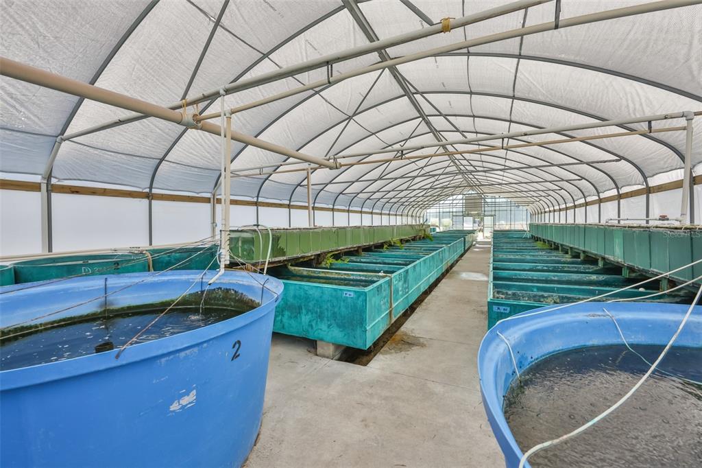 20112 Hobbs Road Wimauma, FL 33598 - Photo 64 of 94