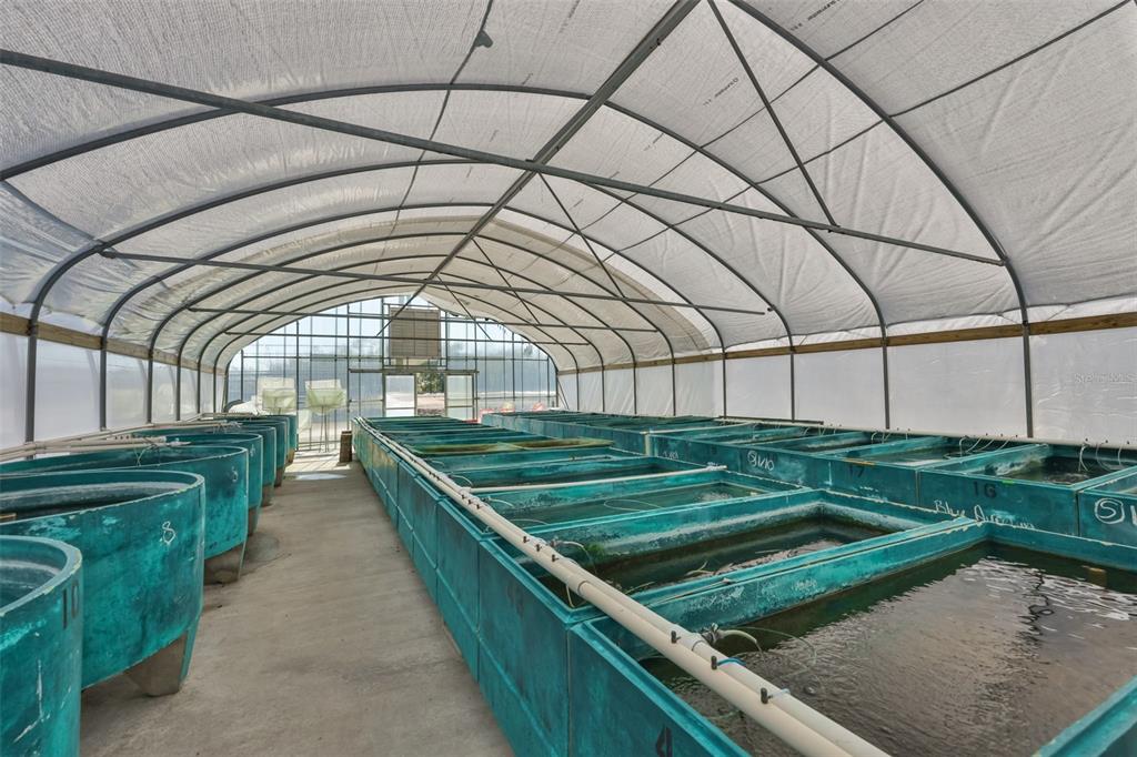 20112 Hobbs Road Wimauma, FL 33598 - Photo 67 of 94