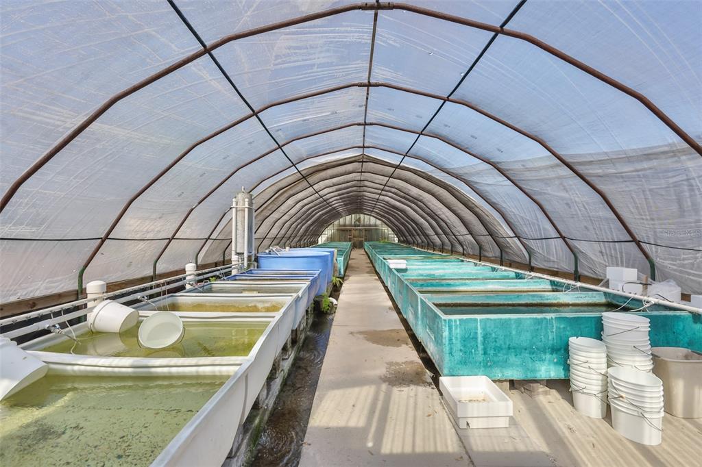 20112 Hobbs Road Wimauma, FL 33598 - Photo 68 of 94