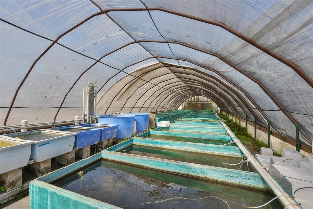 20112 Hobbs Road Wimauma, FL 33598 - Photo 69 of 94