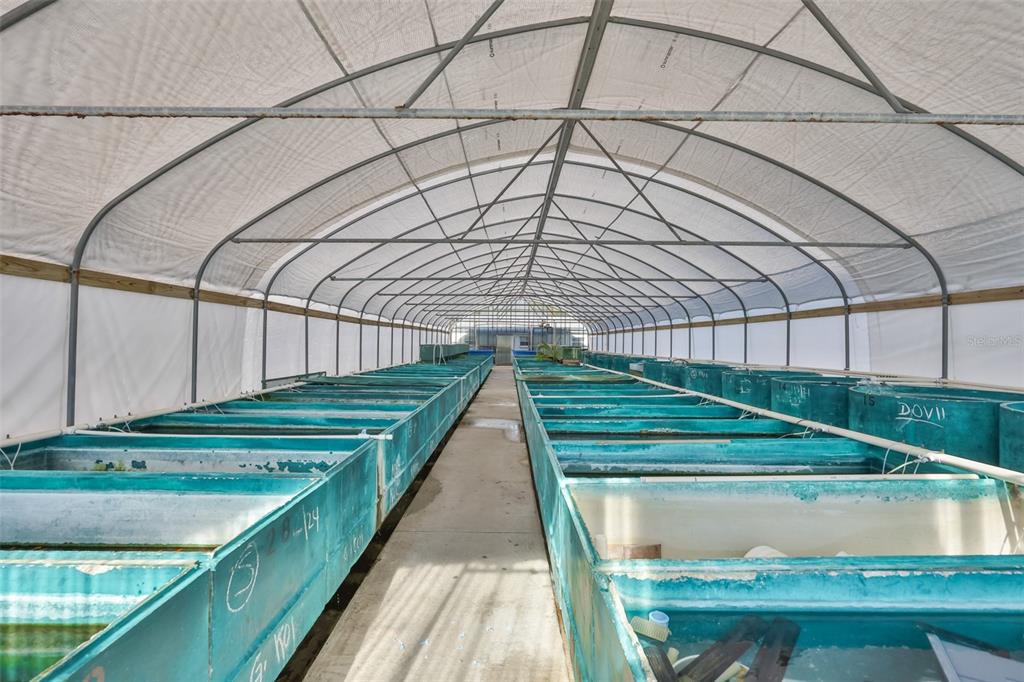 20112 Hobbs Road Wimauma, FL 33598 - Photo 70 of 94