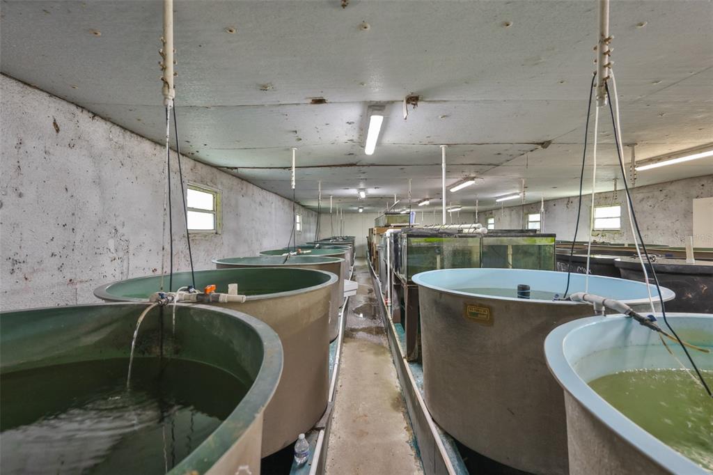 20112 Hobbs Road Wimauma, FL 33598 - Photo 73 of 94