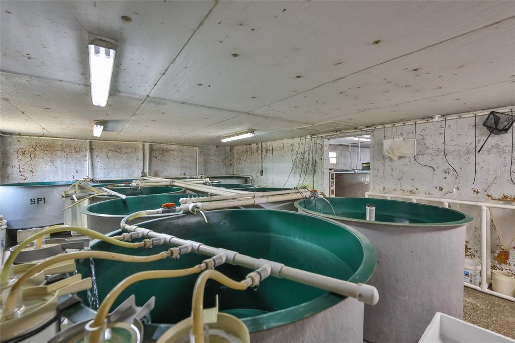 20112 Hobbs Road Wimauma, FL 33598 - Photo 75 of 94