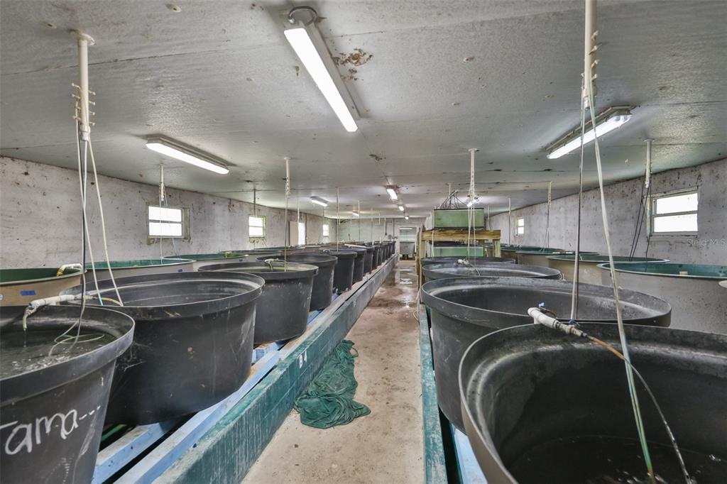 20112 Hobbs Road Wimauma, FL 33598 - Photo 76 of 94