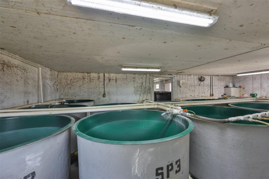 20112 Hobbs Road Wimauma, FL 33598 - Photo 77 of 94