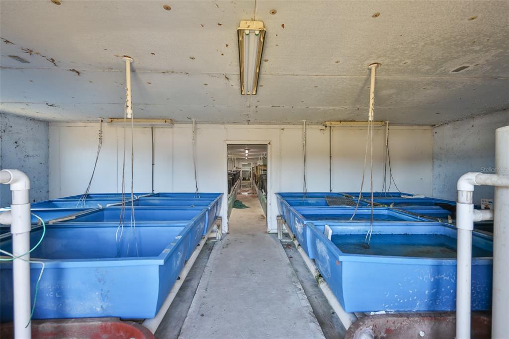 20112 Hobbs Road Wimauma, FL 33598 - Photo 78 of 94