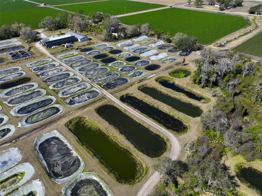 20112 Hobbs Road Wimauma, FL 33598 - Photo 84 of 94