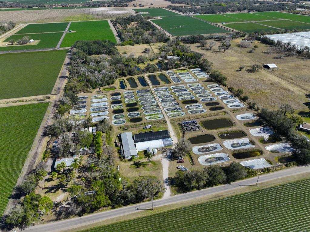 20112 Hobbs Road Wimauma, FL 33598 - Photo 87 of 94